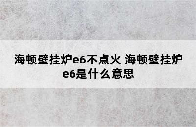 海顿壁挂炉e6不点火 海顿壁挂炉e6是什么意思